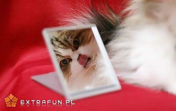 www.extrafun.pl #extrafun