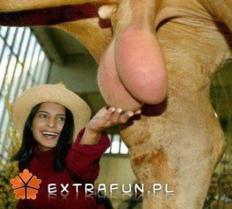 www.extrafun.pl #extrafun