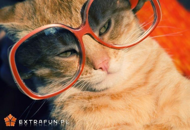www.extrafun.pl #extrafun