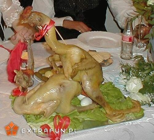 www.extrafun.pl #extrafun