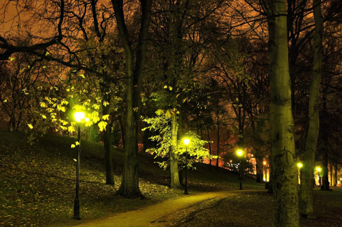 w parku pałacowym w Oslo #noc #drzewa #parki
