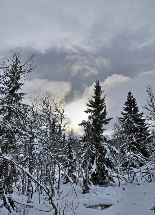 Trysil - Norwegia. Tu zima w pełni już od dawna #zima #śnieg #krajobraz #niebo #przyroda