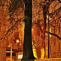 w parku pałacowym w Oslo #noc #drzewa #parki