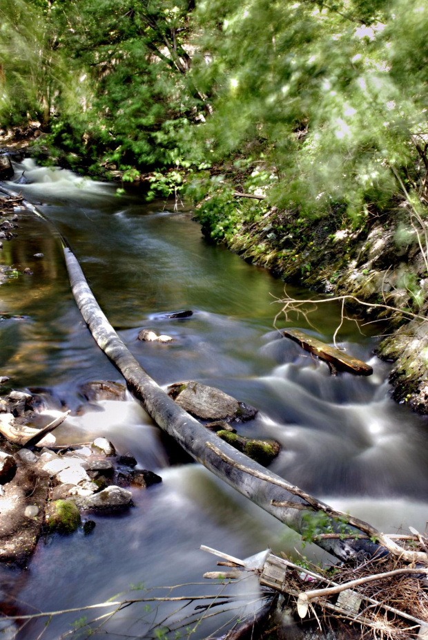 Akerselva - rzeczka w Oslo #woda #rzeka #przyroda #natura #wiosna