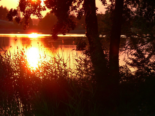 Jezioro Leleskie ok. Pasymia.
Leleskie lake near Pasym, Poland. #WieczórZorza