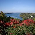 droga z Niagary do Niagara-on-the-Lake na horyzoncie widac jak rzeka Niagara wplywa do jeziora Ontario