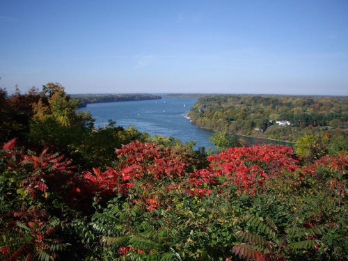 droga z Niagary do Niagara-on-the-Lake na horyzoncie widac jak rzeka Niagara wplywa do jeziora Ontario