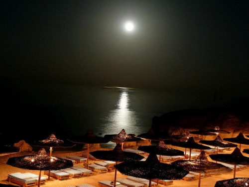 Morze Czerwone. Plaża przy hotelu Amphoras w Sharm El Sheikh.