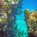 Ras Mohammed - Podwodny Park Narodowy w Sharm El Sheikh .