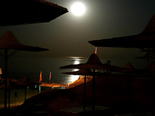 Morze Czerwone. Plaża przy hotelu Amphoras w Sharm El Sheikh.