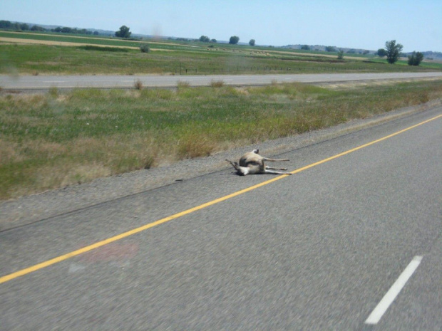 Montana i ND
