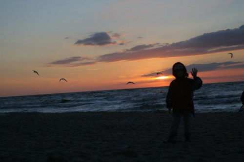 pa, pa, mewki... #ZachódSłońca #morze