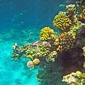 Ras Mohammed - Podwodny Park Narodowy w Sharm El Sheikh .