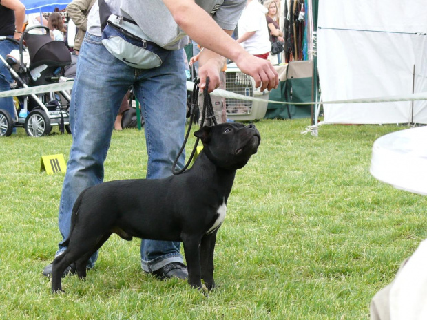 Chojnice 2007