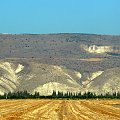 Zachodni brzeg Jordanu. W tle góry Jordanii.