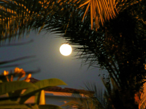Sharm El Sheikh nocą