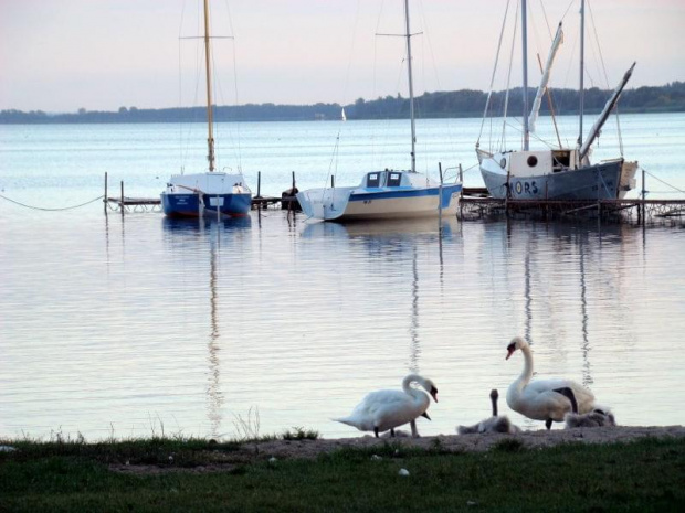 zbliza sie koniec roku 2008...czas na wspomnienia z tego lata :) jezioro Miedwie #Miedwie #jezioro #plener