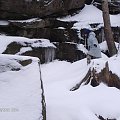 Karpacz 21-23.11.2008