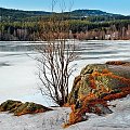 Sognsvann #zima #jeziora #śnieg #krajobraz