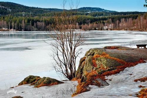 Sognsvann #zima #jeziora #śnieg #krajobraz