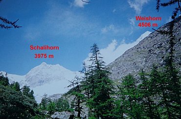 14.08.1999 r. Otoczenie lodowca Hohlicht.
Hohlicht glacier environment. #Hochlicht #lodowiec