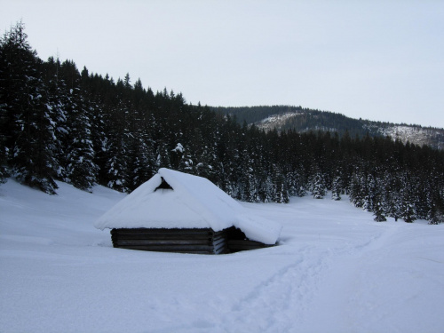 Zaśnieżona grudniowa Jaworzynka w Tatrach