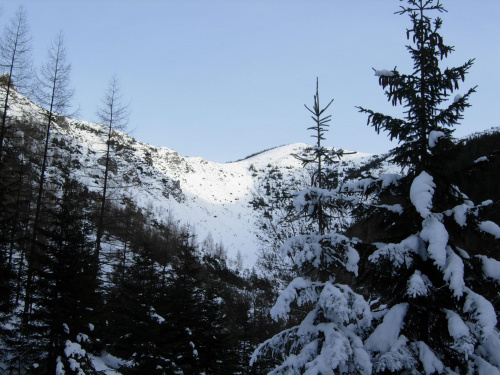 Zaśnieżona grudniowa Jaworzynka w Tatrach