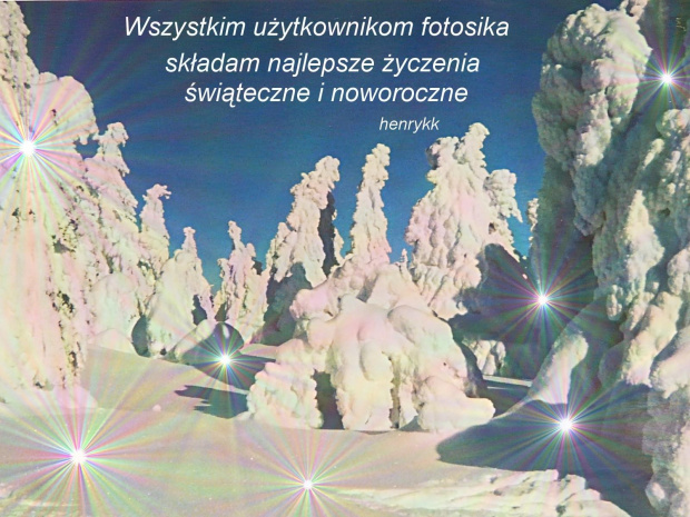 Drzewa w zimowej szacie pod szczytem Śnieżnika ( 1426 m ). #BożeNarodzenie2008 #NowyRok2009 #Śnieżnik