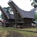 Klasyczny dom w Tanja Toraja. Celebes centralny.