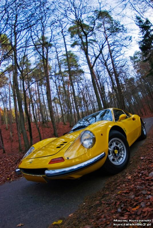 Ferrari Dino