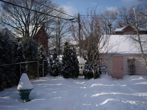 zima :) #zima #BozeNarodzenie2008 #Toronto #Canada