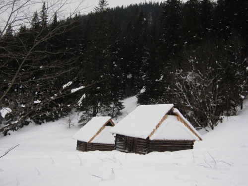 Uroki zimy w Dolinie Strążyskiej w Tatrach