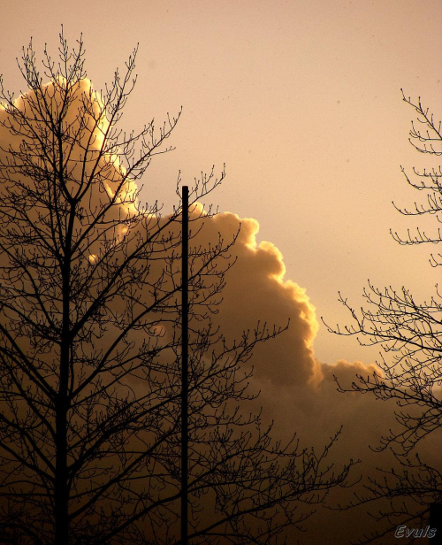 a może to bałwany... #drzewa #chmury #niebo