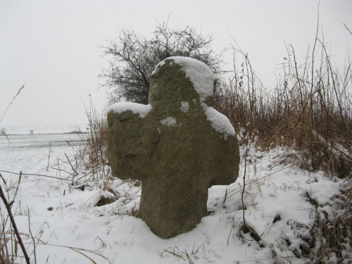 Pomiędzy Kiełczynem a Książnicą