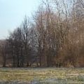 panoramicznie stawy Jana w Łodzi #łódż #staw #Jana #przyroda #Polska #foto #mróz