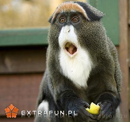 www.extrafun.pl #extrafun