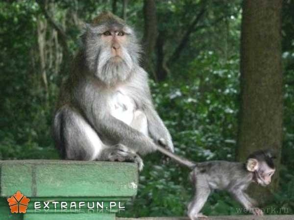 www.extrafun.pl #extrafun
