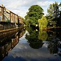 Ripon