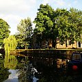 Ripon
