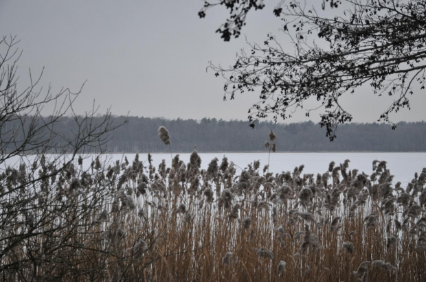 Jezioro Strzeszyńskie w "siarczystym" styczniowym mrozie