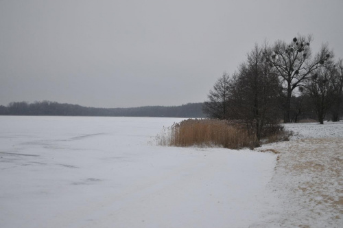 Jezioro Strzeszyńskie w "siarczystym" styczniowym mrozie