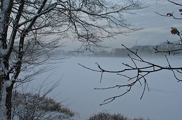 Dialog odmarzł :) #zima #zalew #śnieg #spacer #niebo #mgła