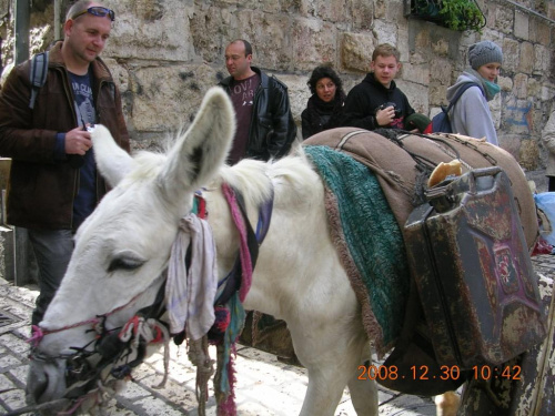 Popularny widok na ulicach starej Jerozolimy