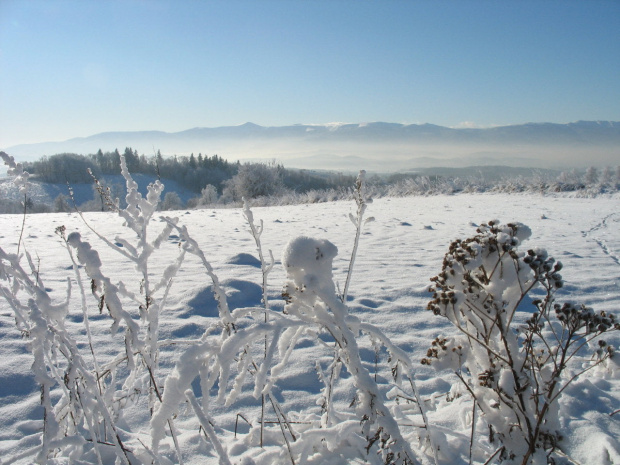 #GóryKaczawskie #ŁysaGóra #zima #śnieg