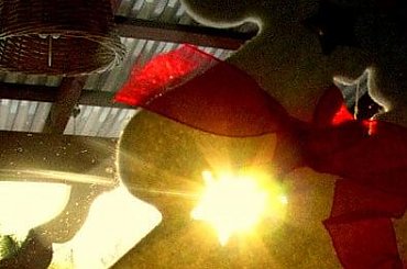 Wschód słońca przez okno #gwiazda #star #WschódSłońca #okno