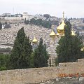 Widok z Góry Oliwnej-kopuły cerkwi