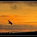 zachód słońca - Oslofjorden #natura #krajobraz #zachód