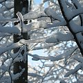 #GóryKaczawskie #ŁysaGóra #zima #śnieg