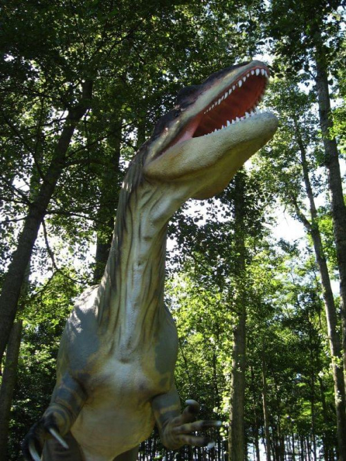 w parku dinozaurów #dinozaury #park