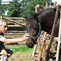 04 sierpnia 2007 Fundacja Tara
www.fundacjatara.info #FundacjaTara #konie #nieszkowice #scarlet #KonieTary #tara
